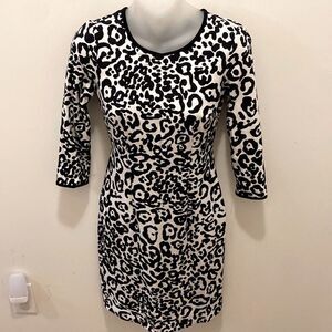 Ann Taylor Leopard Print Dress Zip Back 00P petite New